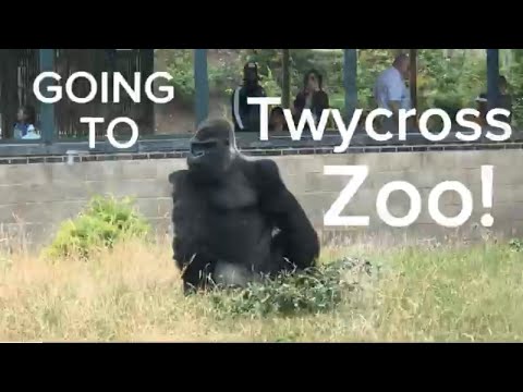 I WENT TO TWYCROSS ZOO!!