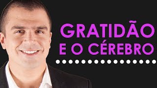 O SURPREENDENTE efeito da GRATIDÃO no cérebro