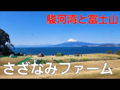 【静岡県】駿河湾で海キャンプ【にしうらさざなみファームキャンプ場】【ソロキャンプ】