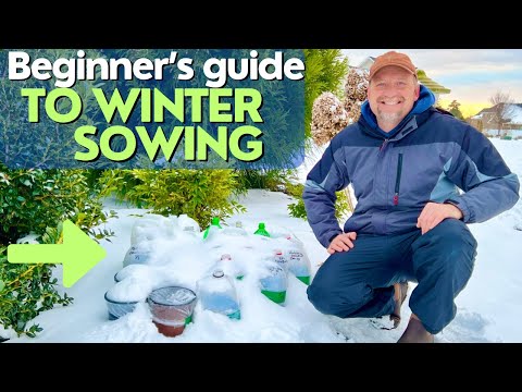 Sow-Snow-Grow: Beginner’s guide to Winter Seed Sowing in 2024