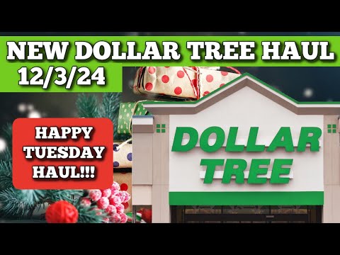 NEW DOLLAR TREE HAUL 12/3/24