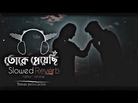 তোকে পেয়েছি | Toke Peyechi Jibone | Anisha | Rahul | Bangla Lofi Song | (Slowed Reverb) Bangla gaan