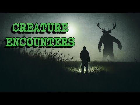 (3) Creepy Stories Submitted by Subscribers | CREATURE ENCOUNTERS #13