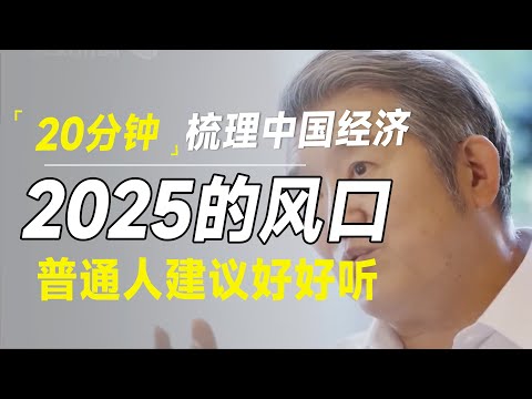 20分钟梳理中国经济？听听第三世界的专家怎么说