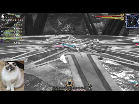 2022/4/9 - Dragon Nest - 冰晶龍 21F 隊友指甲太長一直死掉怎麼辦