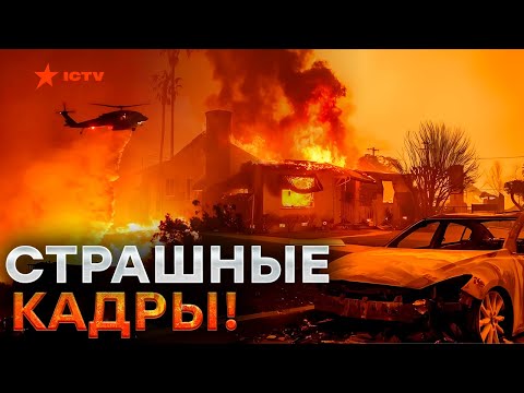 "Как будто взорвалась ЯДЕРНАЯ бомба" 😱 ДОМА людей ГОРЯТ 🛑  ПОЖАРЫ уничтожают ЛОС-АНДЖЕЛЕС @dwrussian