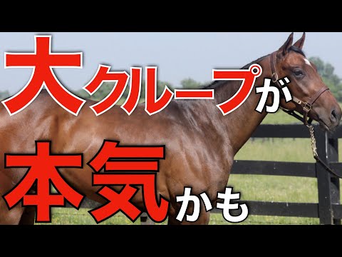 世界のユーロングループが日本競馬に本気参戦？まさかの逆輸入馬が来日。