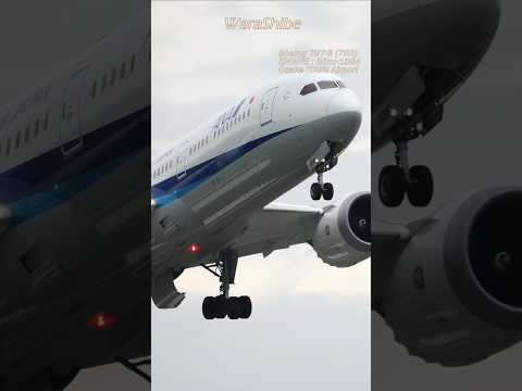 ANA B787-9G | Takeoff gear up, nose wheel retraction scene | Osaka ITAMI Airport