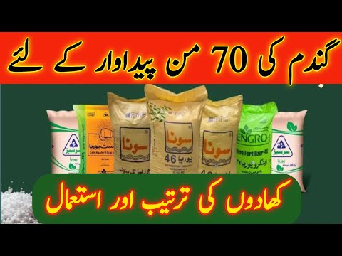 Wheat Fertilizer Dose|Wheat Price in Pakistan|Fertilizer price in Pakistan|Business idea of Pakistan