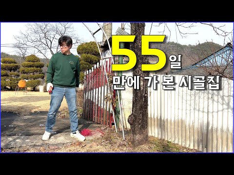 55일만에 시골집 둘러보기 / countryside, gardening