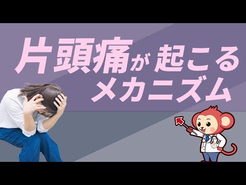 【全ての頭痛持ちへ】片頭痛のメカニズムと治し方【医師監修で解説】