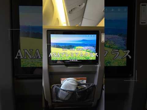 【ANA】プレミアムクラス（羽田→沖縄）#shorts #sfc #mileage #airplane #国内旅行