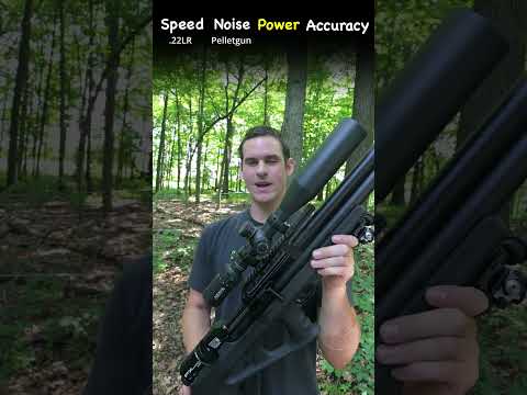 $200 .22 Long Rifle VS $3,000 Pellet Gun #hunting #trending #airsoft #airgunning #wildlife #shorts