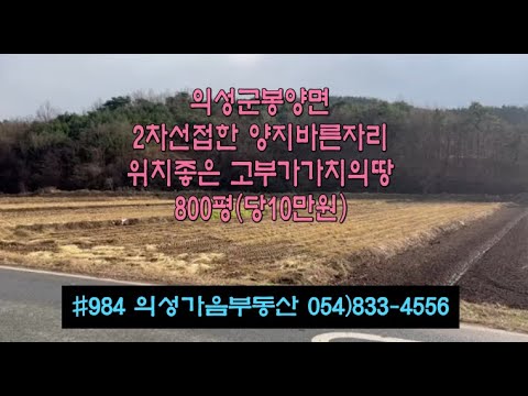 #984 의성가음부동산 시세반값! 봉양면 2차선접한 경지정리된 벼논 800평 8000만 (당10만원) 전기수도가능 군위군인접 위치좋고 투자가치^ 다용도땅 #의성땅매매#의성토지매매