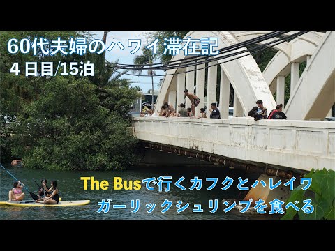 2023年7～8月15泊【4日目】The Busでカフク、ハレイワへ　ガーリックシュリンプを食べる！