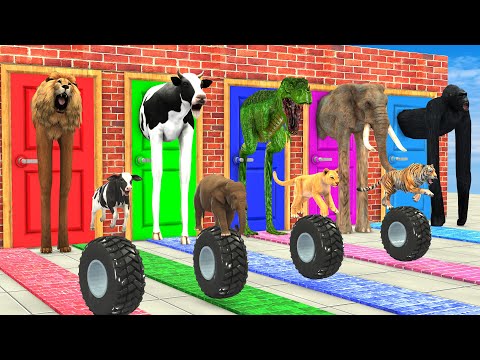 Cow Elephant Lion Gorilla Tiger T Rex Guess the Mystery Door with Tires Animals Breaking the Wall