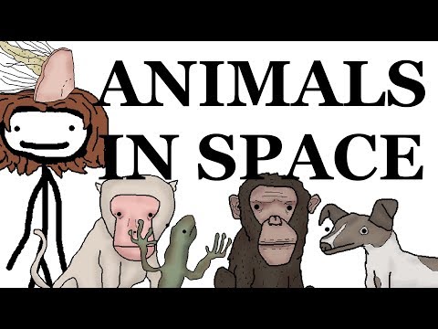 Animals in Space: A Brief History