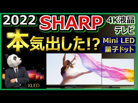 【シャープ 4K液晶テレビ 2022】ついに本気になった！？【MiniLED 量子ドット】