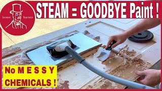 Best Tools to Remove Paint | How to Strip Paint from a Door with Steam