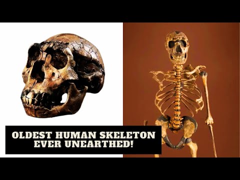 Turkana Boy (Homo ergaster) Is Not Who Scientists Thought He Was