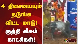 4  திசையையும் நடுங்க விட்ட மாடு! குத்தி வீசும் காட்சிகள்! | Alanganallurjallikattu | MADURAI