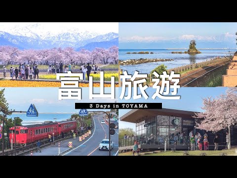 【日本】🏔️被雪山環繞3天2夜富山旅遊｜雨晴海岸、富岩運河環水公園、朝日町舟川春之四重奏 // 3Days in Toyama, Japan Travel Vlog