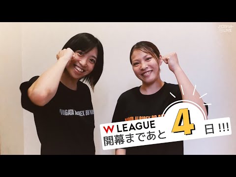 【女子バスケ】Wリーグ 新潟アルビレックスBBラビッツ 坂田侑紀奈選手 が 新キャプテン 河村美侑 選手にインタビュー