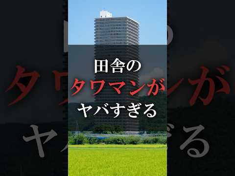 田舎のタワマンがヤバすぎる