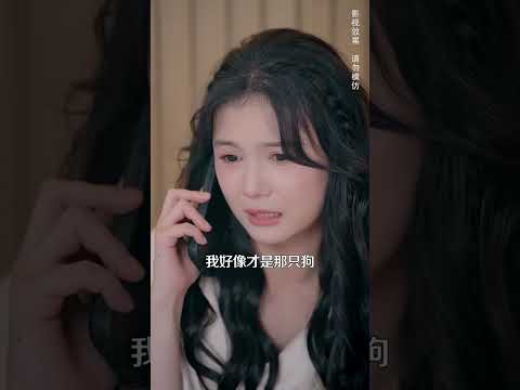 灰姑娘主動索吻，一向高冷的禁慾總裁徹底淪陷！ #shorts #短剧 #绝不会爱上你了 #甜宠 #情感 #左一 #马千欢  #drama #逆襲 #chinesedrama #搞笑 #穿書  #霸總