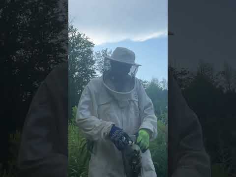 My beesuit doesn’t protect me from bees