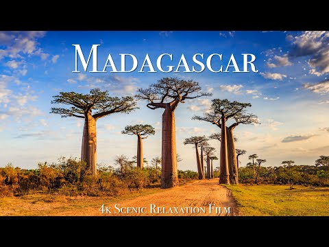 Madagascar 4K - Scenic Relaxation Film With Calming Music