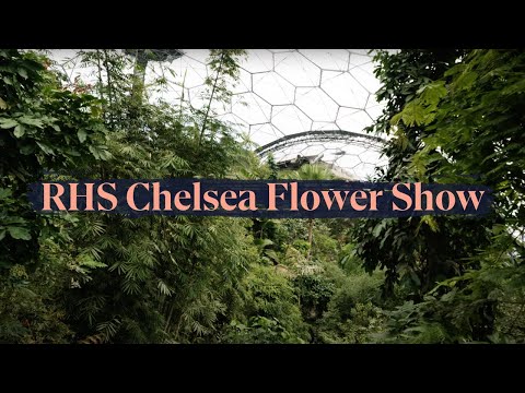 The Fauna & Flora Garden at RHS Chelsea Flower Show 2023