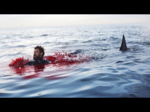 Diver Decapitated by Massive Great White Shark