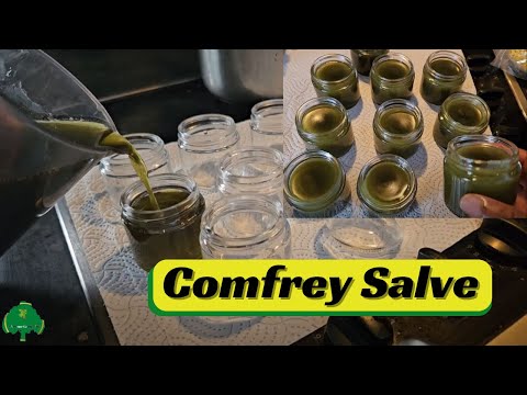 Comfrey Salve - How to make comfrey salve - GIVEAWAY