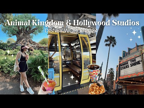 DISNEY WORLD VLOG ✨🏰 DAY 2 | Animal Kingdom, Nomad Lounge, Hollywood Studios, Fantasmic, & more!