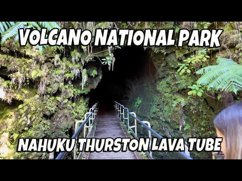 Hawaii Volcano National Park Nahuku Thurston Lava Tube | A Fun Walk Through a Lava Tube