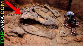 15 Most Incredible Dinosaur Fossil Discoveries