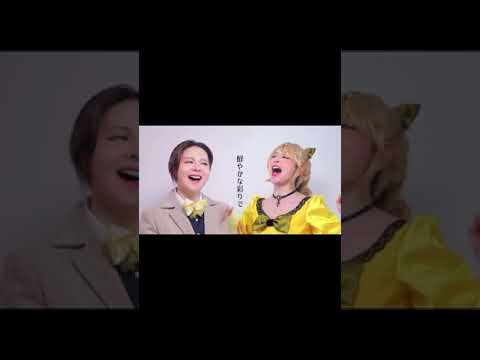 #歌ってみた #悪ノ娘 #ニコニコ動画 #歌コレ参加中#フルはニコニコで#ひるまりな#実写ＭＶ#先生何やってんすかシリーズ #歌ってみた