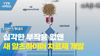 심각한 부작용 없앤 새 알츠하이머 치료제 개발 / YTN 사이언스