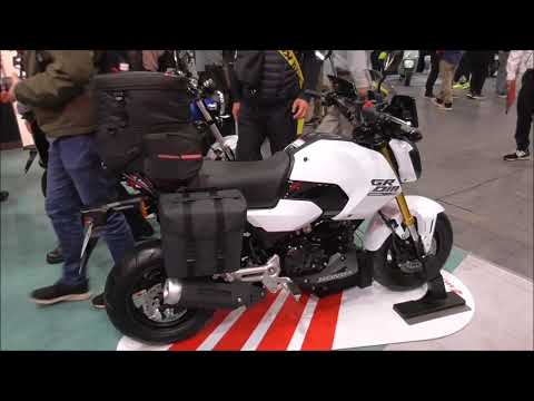 Honda New Grom 2024 Pearl Horizon White