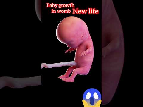 Baby growth in womb 📈 #viralvideo #shorts #motherhood #science #biology #medical #obs