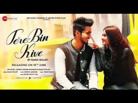 Tere Bin kive ravangi || Mr faisu, jannat zubair new song