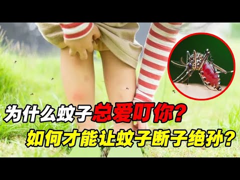 为什么蚊子总爱叮你？不点蚊香，如何才能让蚊子断子绝孙？