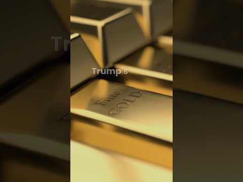 Will Trump's New Gold Card Proposal Really Benefit The US Economy?