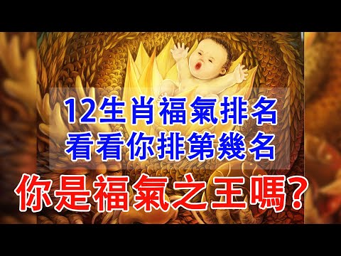 12生肖福氣排名，看看你排第幾名|你是福氣之王嗎？【佛語】#運勢 #風水 #佛教 #生肖 #佛語