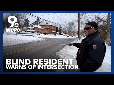 Blind resident denied seeing eye dog because crossing his intersection is too dangerous