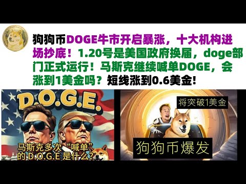 狗狗币DOGE牛市开启暴涨，十大机构进场抄底！加仓最佳机会，1.20号是美国政府换届，doge部门正式运行！马斯克继续喊单DOGE，会涨到1美金吗？DOGE币#马斯克狗狗币#DOGE行情分析