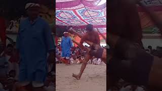 Desi kushti short video