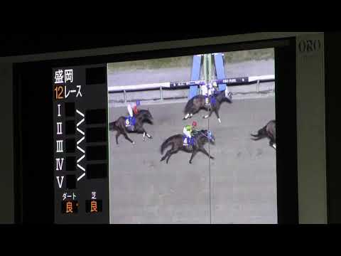 Road to JBC 第37回マイルチャンピオンシップ南部杯(Jpnl 盛岡ダ1600m)は前年覇者で単勝1.1倍の圧倒的1番人気JRA①レモンポップ(牡6 父Lemon Drop Kid)が2連覇