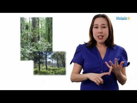 Learn Biology: Biodiversity Definition